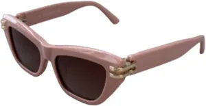Retro Cat Eye Sunglasses for Women Vintage Polarized Sunglasses Womens Trendy Style Cateye Square Sun Glasses